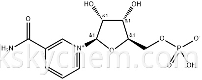 NMN zwitterion